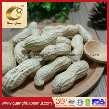 Best Quality Peanut in Shell New Crop Groundnut in Shell